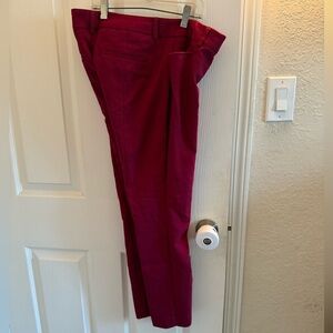 Express columnist dress pants